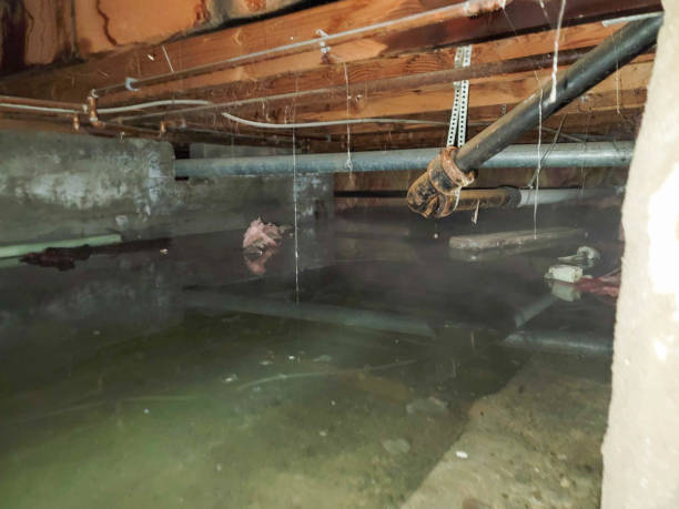 Best Commercial water damage restoration  in Elm Grove, WI