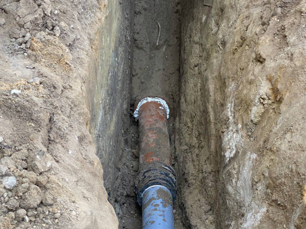 Best 24/7 water damage repair  in Elm Grove, WI
