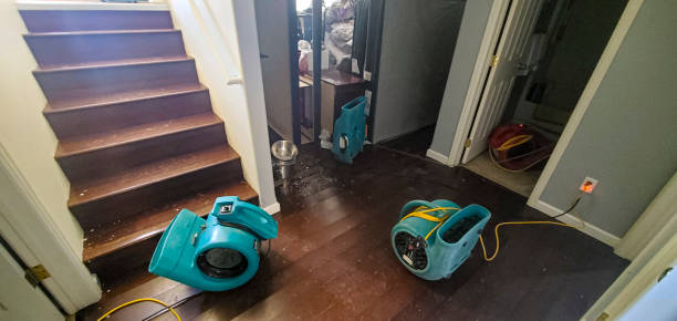  Elm Grove, WI Water damage restoration Pros