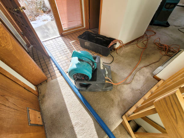 Best Water damage restoration insurance claims  in Elm Grove, WI