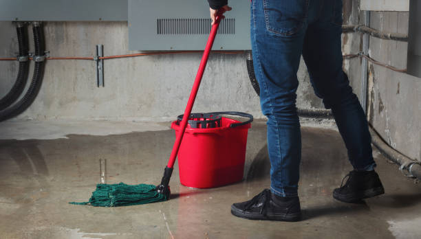 Best Water damage cleanup near me  in Elm Grove, WI