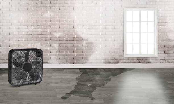 Best Flooded house restoration  in Elm Grove, WI