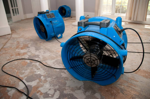 Best Fire Damage Restoration  in Elm Grove, WI