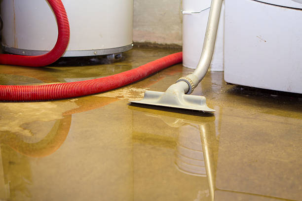 Best Emergency water damage restoration  in Elm Grove, WI