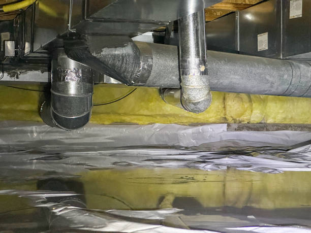 Best Residential water damage restoration  in Elm Grove, WI